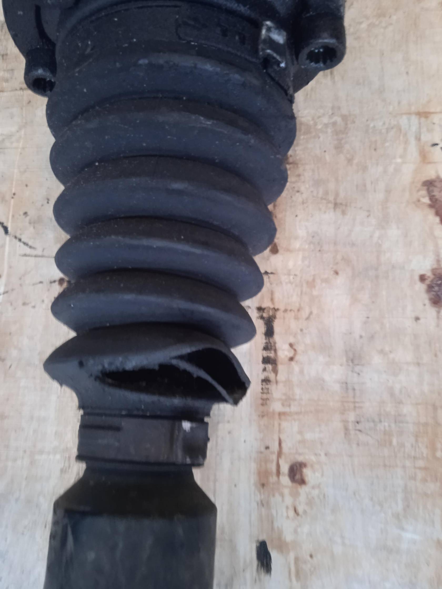 Semialbero ant. compl. dx.